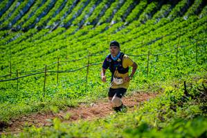 BIB: 137
                            <button type="button" onclick="openModal(19163195)" class="btn btn-primary btn-sm float-right btn-popup" data-toggle="modal" data-target=".modal-high-quality">
                        <i class="fas fa-shopping-cart"></i> Add to Cart
                    </button>
                                            <button type="button" onclick="isThisMe(19163195, true)" class="btn btn-success btn-sm float-right btn-popup btn-isme hidden" data-toggle="tooltip" data-placement="bottom" title="นี่คือรูปของคุณใช่ไหม คลิกที่นี่เพื่อเอาเข้าอัลบั้ม">
                        <i class="fas fa-plus"></i> Add to album
                    </button>
                    <button type="button" onclick="isThisMe(19163195, false)" class="btn btn-warning btn-sm float-right btn-popup btn-isnotme hidden">
                        <i class="fas fa-ban"></i> Remove from album
                    </button>